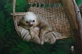 SJO_SlothSanctuary (62)